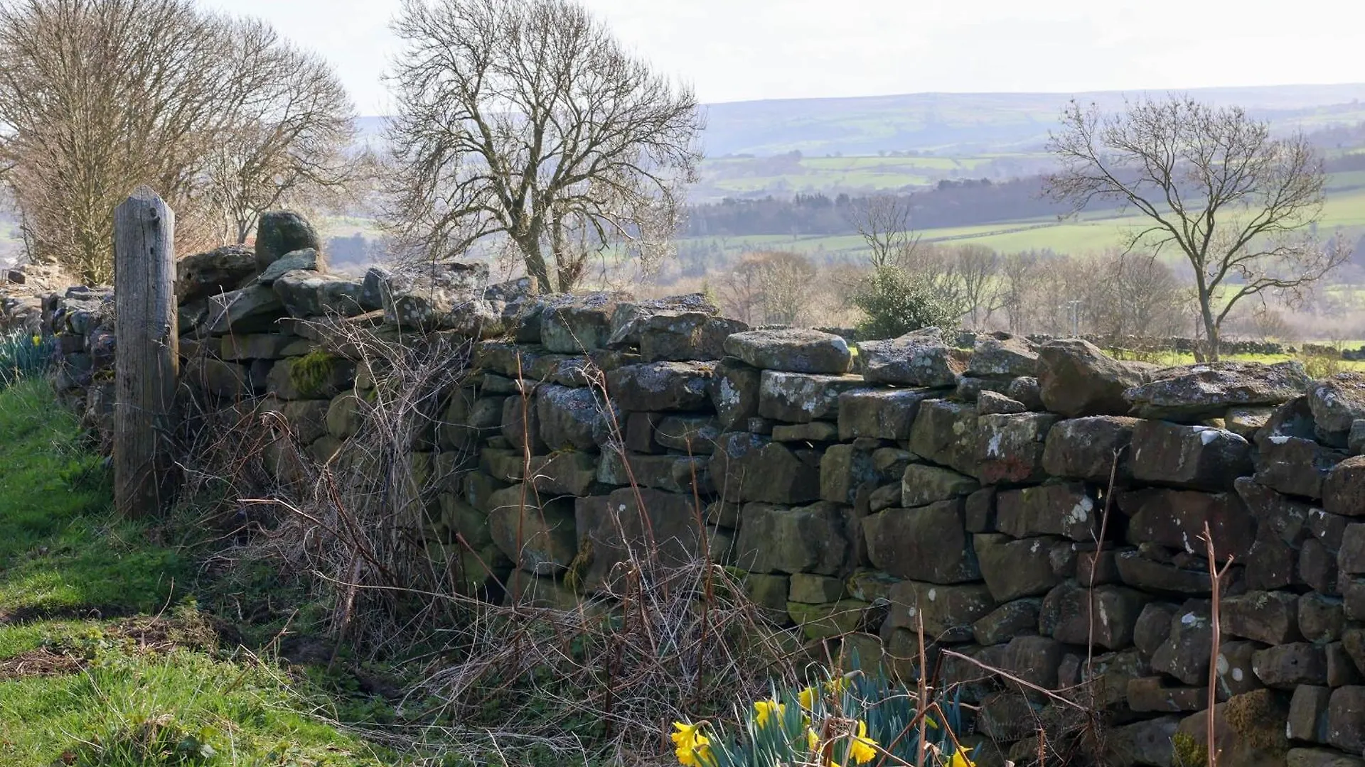 Holiday home Daffodil Cottage Danby